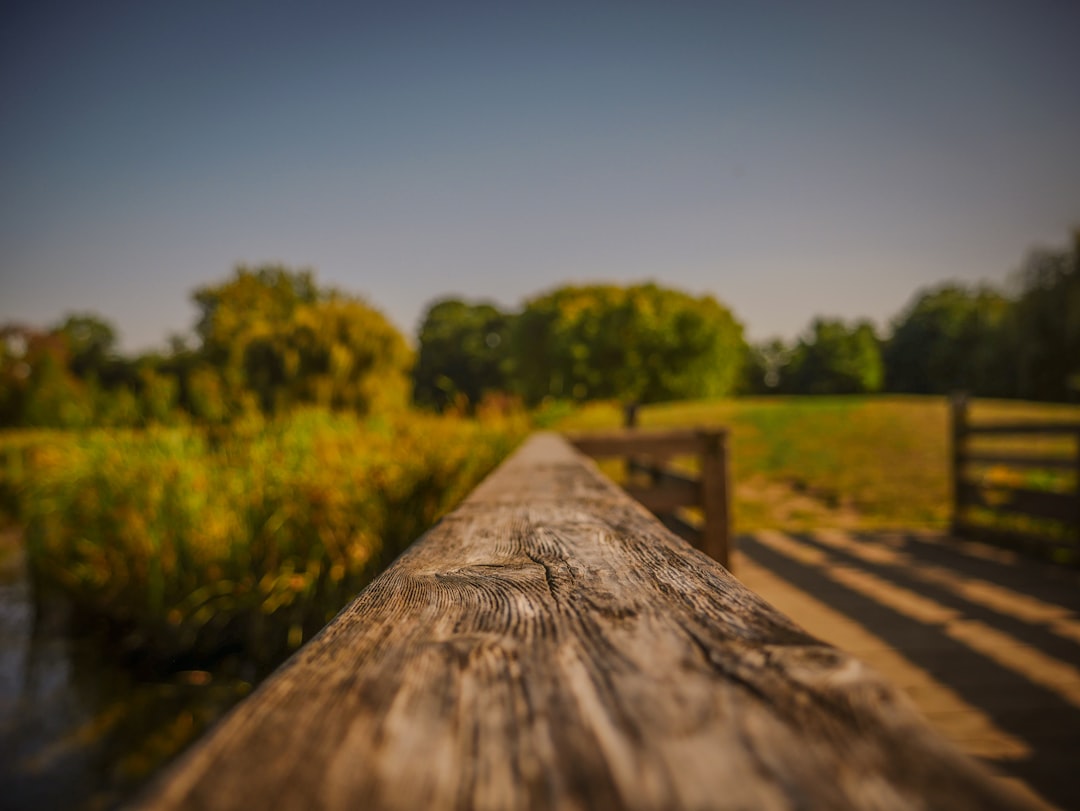 IOP programs in Illinois