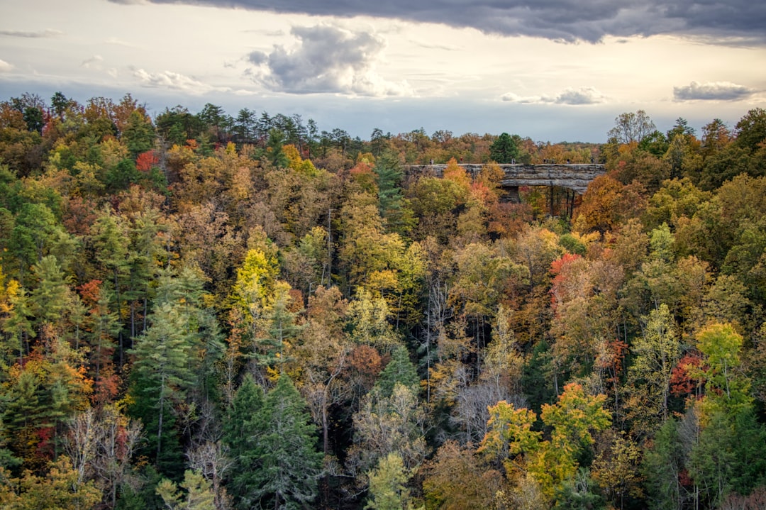 Sober living homes in Kentucky