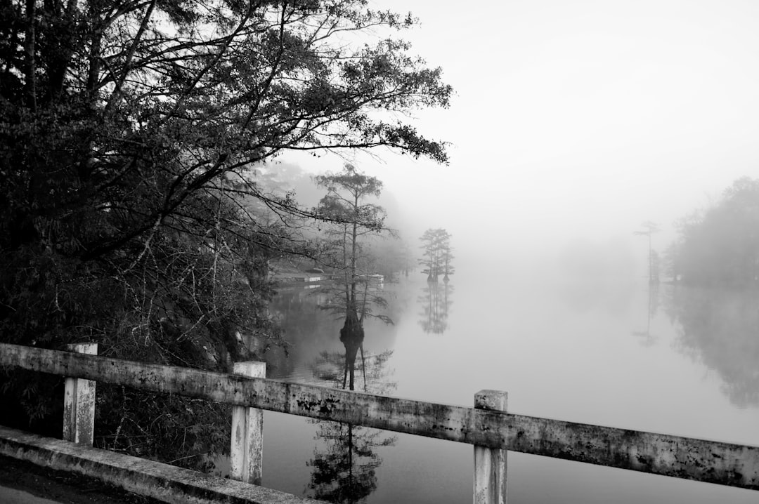 Treatment centers in Louisiana