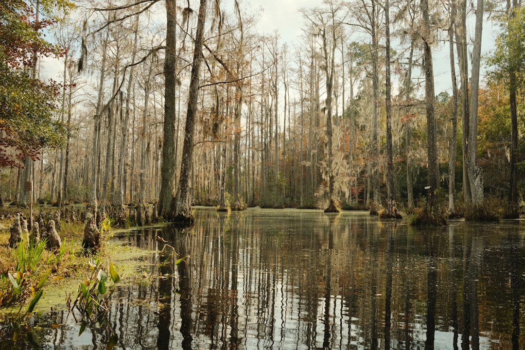 Treatment centers in South Carolina