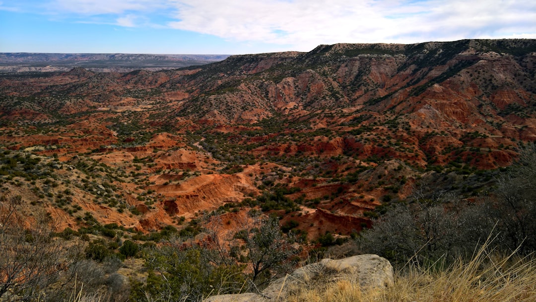 Sober living homes in Texas